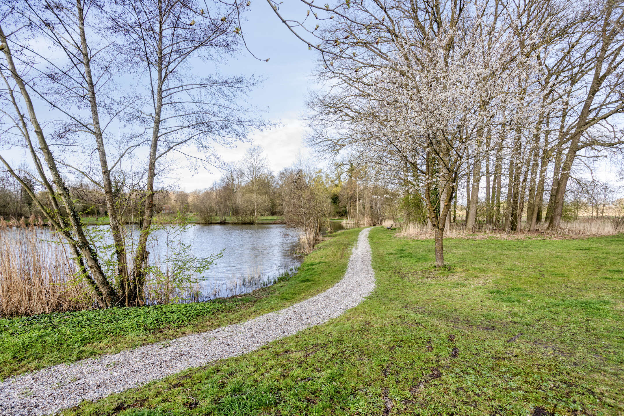 Diepenheim – Herschelstraat 3 – Foto 50